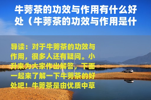 牛蒡茶的功效与作用有什么好处（牛蒡茶的功效与作用是什么）