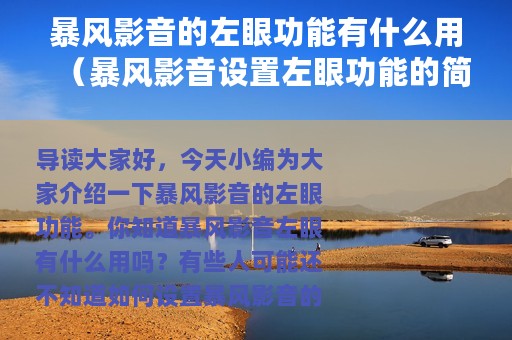 暴风影音的左眼功能有什么用（暴风影音设置左眼功能的简单操作）