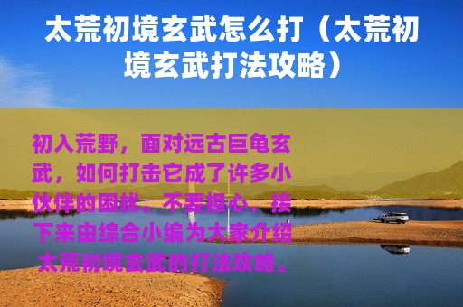 太荒初境玄武怎么打（太荒初境玄武打法攻略）