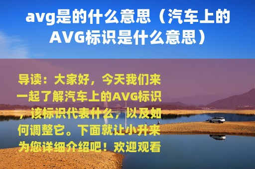 avg是的什么意思（汽车上的AVG标识是什么意思）