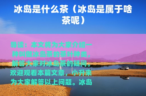 冰岛是什么茶（冰岛是属于啥茶呢）