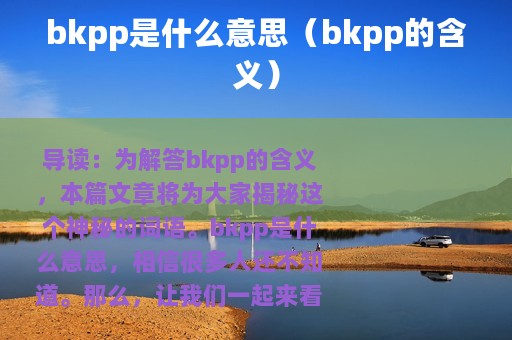 bkpp是什么意思（bkpp的含义）