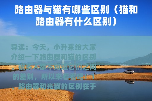 路由器与猫有哪些区别（猫和路由器有什么区别）