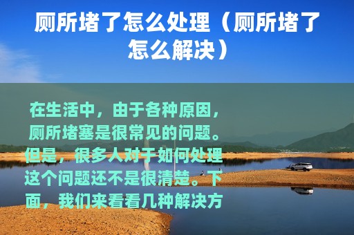 厕所堵了怎么处理（厕所堵了怎么解决）
