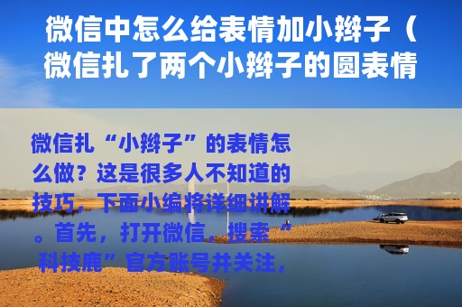微信中怎么给表情加小辫子（微信扎了两个小辫子的圆表情符号分享）