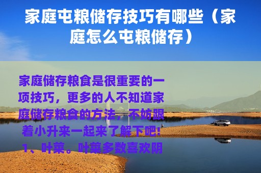 家庭屯粮储存技巧有哪些（家庭怎么屯粮储存）