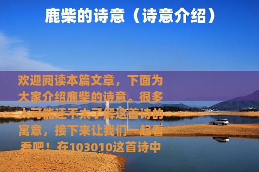 鹿柴的诗意（诗意介绍）