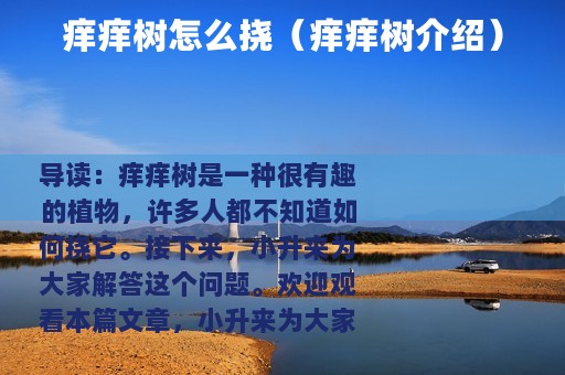 痒痒树怎么挠（痒痒树介绍）