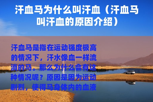 汗血马为什么叫汗血（汗血马叫汗血的原因介绍）