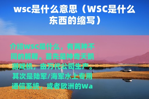 wsc是什么意思（WSC是什么东西的缩写）