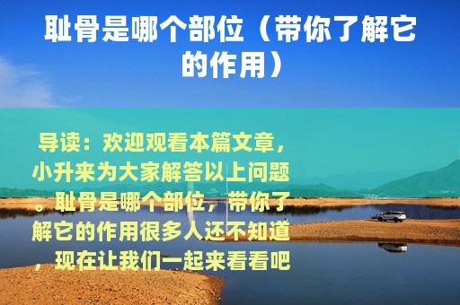 耻骨是哪个部位（带你了解它的作用）