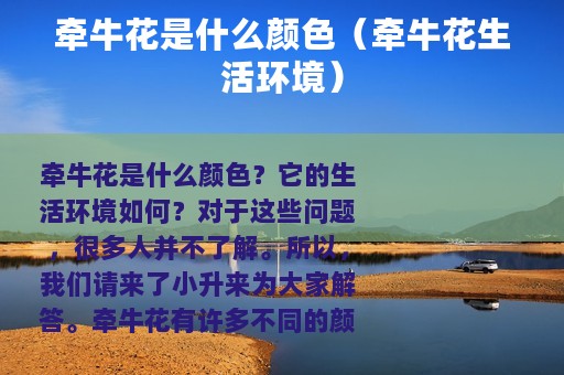 牵牛花是什么颜色（牵牛花生活环境）