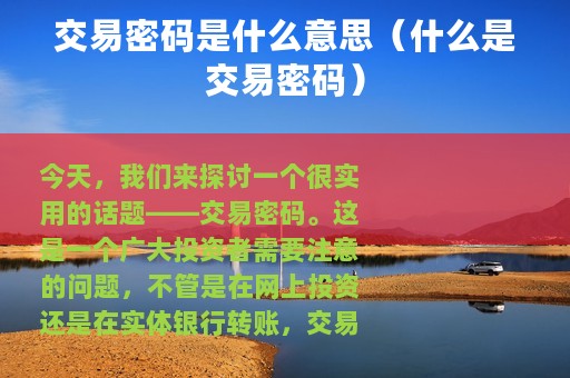 交易密码是什么意思（什么是交易密码）