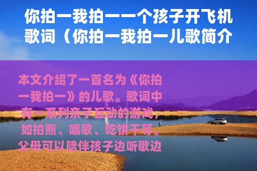 你拍一我拍一一个孩子开飞机歌词（你拍一我拍一儿歌简介）