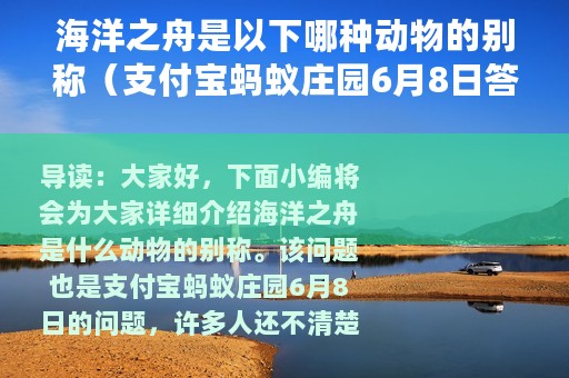 海洋之舟是以下哪种动物的别称（支付宝蚂蚁庄园6月8日答案）