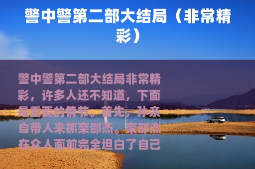 警中警第二部大结局（非常精彩）