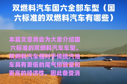 双燃料汽车国六全部车型（国六标准的双燃料汽车有哪些）
