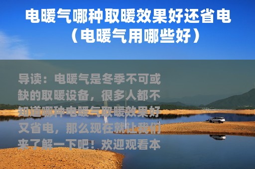 电暖气哪种取暖效果好还省电（电暖气用哪些好）