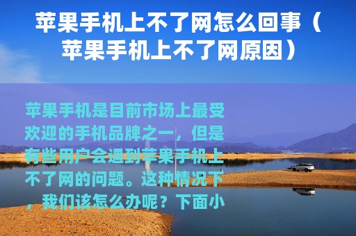 苹果手机上不了网怎么回事（苹果手机上不了网原因）