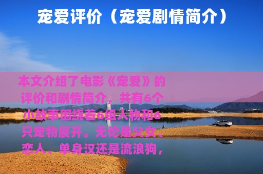 宠爱评价（宠爱剧情简介）