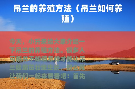 吊兰的养殖方法（吊兰如何养殖）