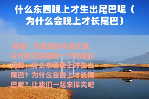 什么东西晚上才生出尾巴呢（为什么会晚上才长尾巴）