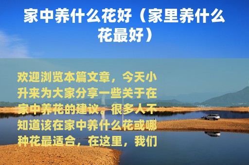 家中养什么花好（家里养什么花最好）