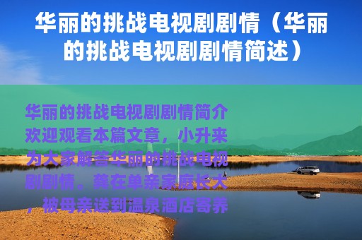 华丽的挑战电视剧剧情（华丽的挑战电视剧剧情简述）