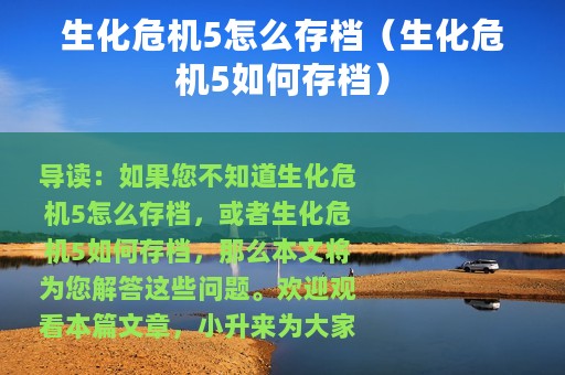 生化危机5怎么存档（生化危机5如何存档）