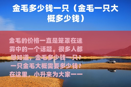 金毛多少钱一只（金毛一只大概多少钱）