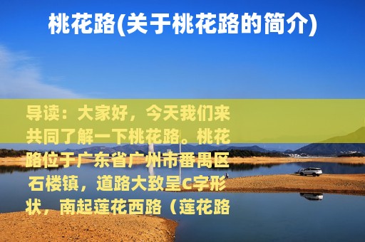 桃花路(关于桃花路的简介)