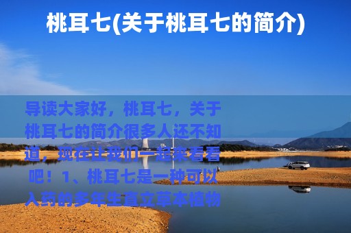 桃耳七(关于桃耳七的简介)