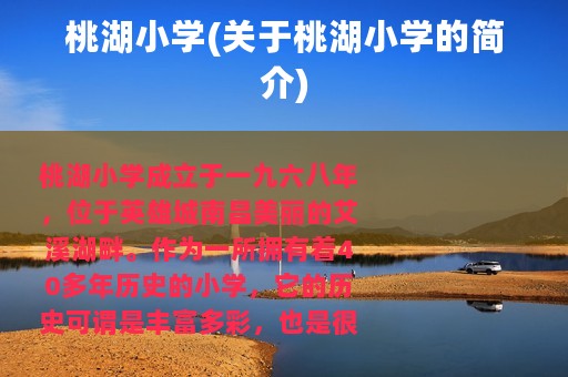 桃湖小学(关于桃湖小学的简介)
