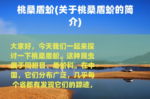 桃桑盾蚧(关于桃桑盾蚧的简介)