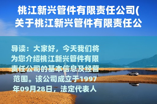 桃江新兴管件有限责任公司(关于桃江新兴管件有限责任公司的简介)