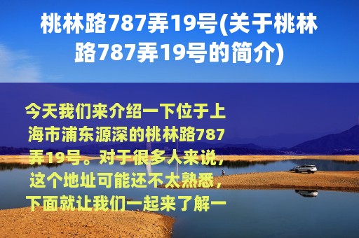 桃林路787弄19号(关于桃林路787弄19号的简介)