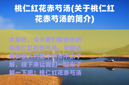 桃仁红花赤芍汤(关于桃仁红花赤芍汤的简介)