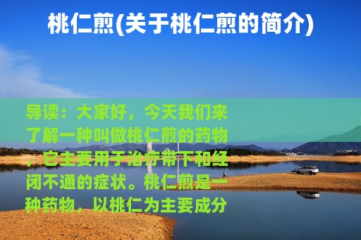 桃仁煎(关于桃仁煎的简介)