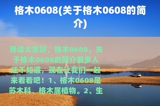 格木0608(关于格木0608的简介)