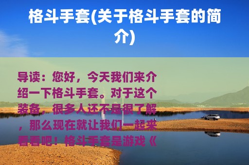 格斗手套(关于格斗手套的简介)