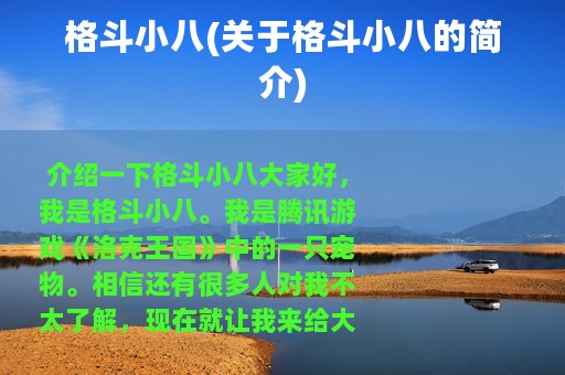格斗小八(关于格斗小八的简介)