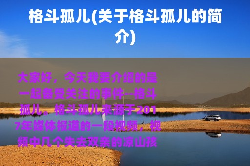 格斗孤儿(关于格斗孤儿的简介)