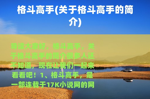 格斗高手(关于格斗高手的简介)