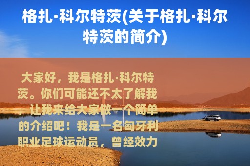 格扎·科尔特茨(关于格扎·科尔特茨的简介)