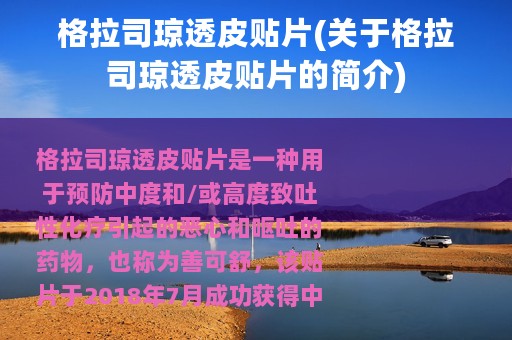 格拉司琼透皮贴片(关于格拉司琼透皮贴片的简介)