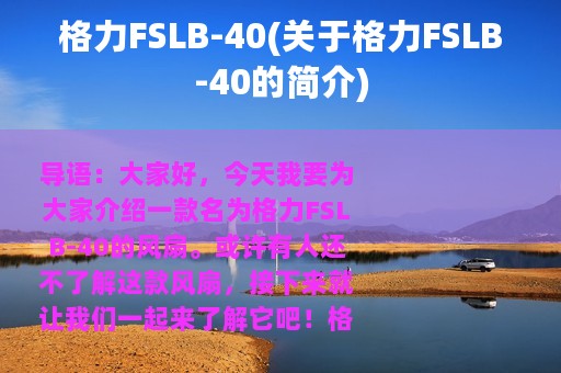 格力FSLB-40(关于格力FSLB-40的简介)