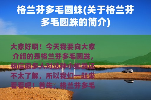 格兰芬多毛圆蛛(关于格兰芬多毛圆蛛的简介)