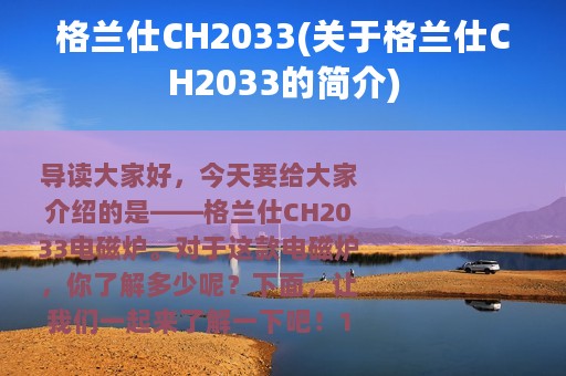 格兰仕CH2033(关于格兰仕CH2033的简介)