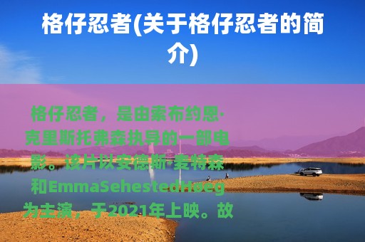 格仔忍者(关于格仔忍者的简介)