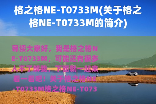 格之格NE-T0733M(关于格之格NE-T0733M的简介)